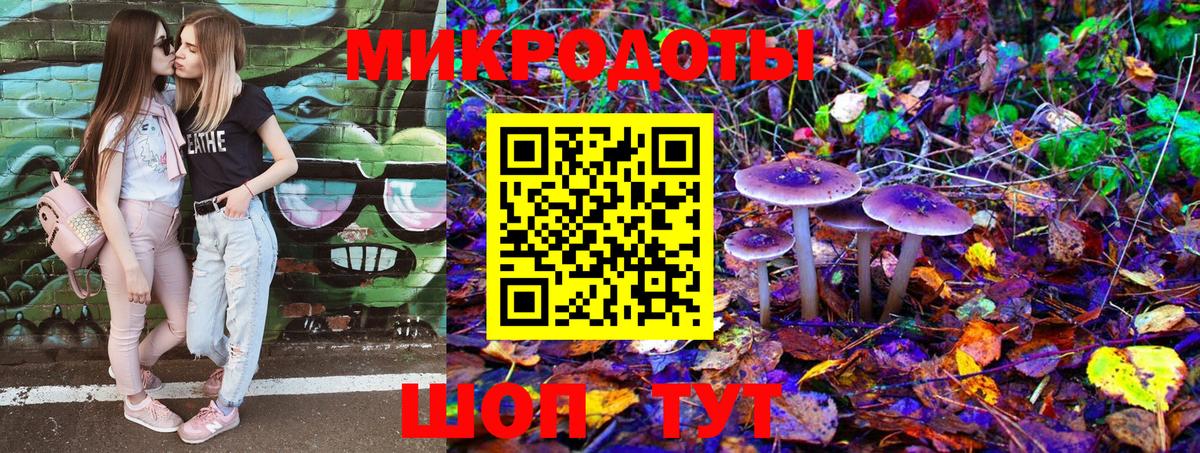 Галлюциногенные грибы Psilocybine cubensis  наркошоп  Оренбург  Вход с VPN 